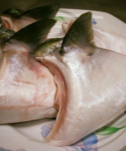 แก้มปลาฮามาจิ