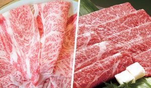 คำจำกัดความของ Hida Wagyu
