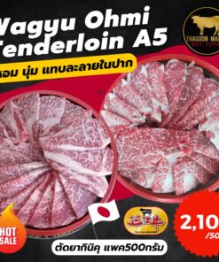 Tenderloin Ohmi A5