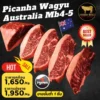 Picanha Wagyu