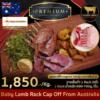 Baby Lamb Rack Cap Off From Australia ซี่โครงลูกแกะ