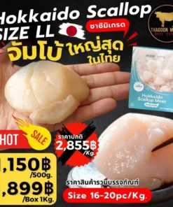 Hokkaido Scallop