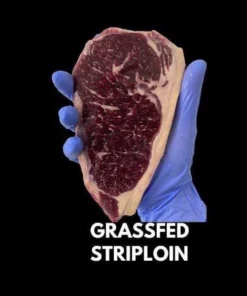 New Zealand Black Angus Grass fed ps grade