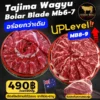 Tajima Wagyu Bolar BladeMb6-7