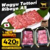 wagyu tottori ribeye a5