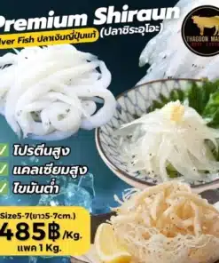 ปลาเงิน ปลาชิระอุโอะ Shirauo (白魚)