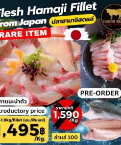 Flesh Hamaji Fillet From Japan