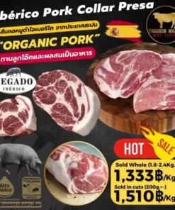 iberico pork collar presa