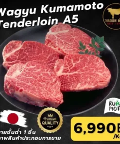 Wagyu Kumamoto Tenderloin A5