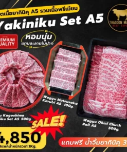 Yakiniku Set A5 เซ็ตรวมเนื้อยากินิกุพรีเมียม