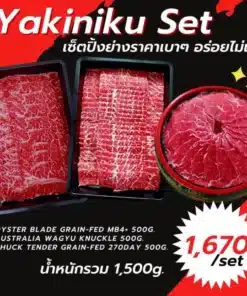 yakiniku set wagyu เซ็ตเนื้อยากินิกุ