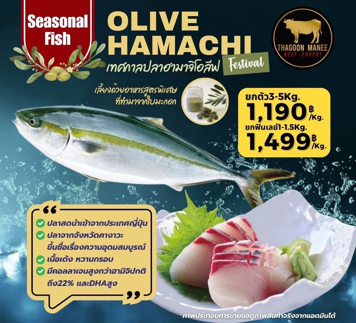 Olive Hamachi ปลาฮามาจิโอลีฟ